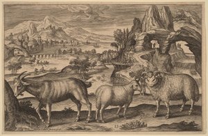  av Adriaen Collaert