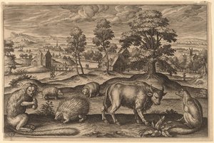 En ape, et piggsvin, to pinnsvin, en bøffel og en rev av Adriaen Collaert