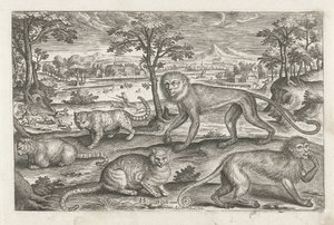Aper og katter Firebeinte dyr (serietittel) Animalivm Qvaddrvpedvm (serietittel) av Adriaen Collaert