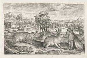 skogdyr Firebeinte dyr (serietittel) Animalivm Qvaddrvpedvm (serietittel) av Adriaen Collaert