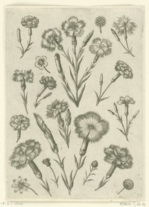 Ulike sinne Florilegium (serietittel) av Adriaen Collaert