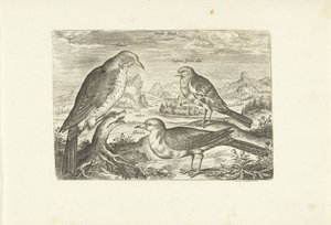 Tre fugler i et landskap Avium Vivae (serietittel) Fugler (serietittel) av Adriaen Collaert