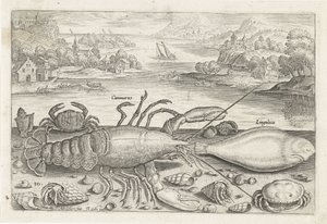 En fisk og noen krepsdyr på stranden Fiske (serietittel) Piscivm vivae-ikoner (serietittel) av Adriaen Collaert