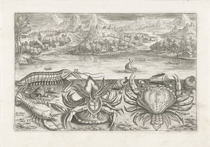 Noen krepsdyr på stranden Fiske (serietittel) Piscium vivae-ikoner (serietittel) av Adriaen Collaert