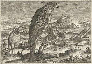 Noen fugler i et landskap Fugler (serietittel) Avivm vivae (serietittel) av Adriaen Collaert