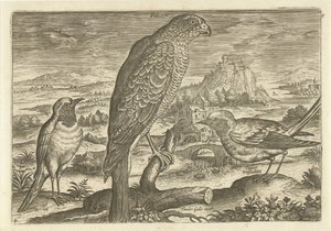 Noen fugler i et landskap Fugler (serietittel) Avivm vivae (serietittel) av Adriaen Collaert