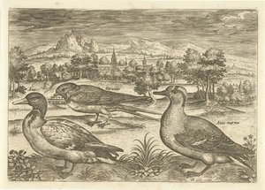 Noen fugler i et landskap Fugler (serietittel) Avivm vivae (serietittel) av Adriaen Collaert