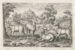 hjort Firebeinte dyr (serietittel) Animalivm Qvaddrvpedvm (serietittel) av Adriaen Collaert