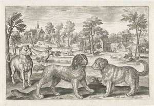 hunder Firebeinte dyr (serietittel) Animalivm Qvaddrvpedvm (serietittel) av Adriaen Collaert