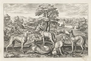 jakthunder Firebeinte dyr (serietittel) Animalivm Qvaddrvpedvm (serietittel) av Adriaen Collaert