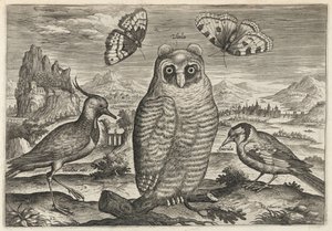  av Adriaen Collaert