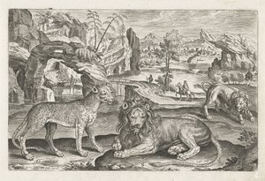 Løver og leopard Firebeinte dyr (serietittel) Animalivm Qvaddrvpedvm (serietittel) av Adriaen Collaert