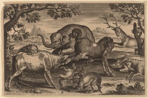 Løve, okse, rev, ulv, hund, boer, geit, hest, elefant og hjort av Adriaen Collaert