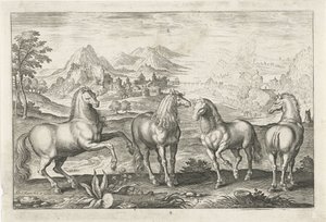 Hester Firebeinte dyr (serietittel) Animalivm Qvaddrvpedvm (serietittel) av Adriaen Collaert