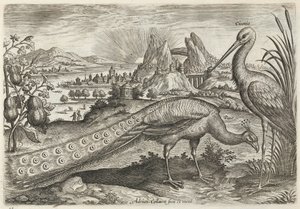 av Adriaen Collaert