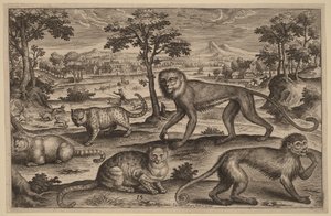  av Adriaen Collaert
