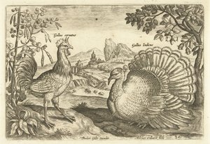 To høner i et landskap Avium Vivae (serietittel) Fugler (serietittel) av Adriaen Collaert