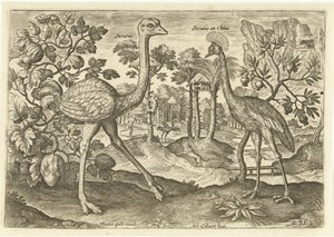To flygende fugler i et landskap Avium Vivae (serietittel) Fugler (serietittel) av Adriaen Collaert