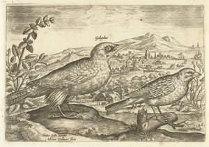 To fugler i et landskap Avium Vivae (serietittel) Fugler (serietittel) av Adriaen Collaert