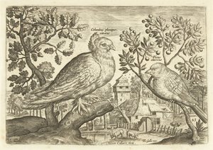 To fugler i et landskap Avium Vivae (serietittel) Fugler (serietittel) av Adriaen Collaert