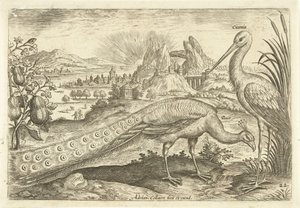 To fugler i et landskap Avium Vivae (serietittel) Fugler (serietittel) av Adriaen Collaert