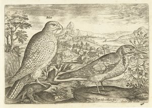 To fugler i et landskap Avium Vivae (serietittel) Fugler (serietittel) av Adriaen Collaert