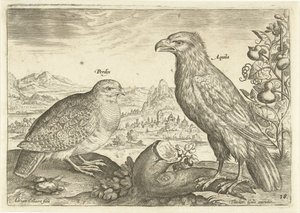 To fugler i et landskap Avium Vivae (serietittel) Fugler (serietittel) av Adriaen Collaert