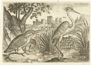 To fugler i et landskap Fugler (serietittel) Avium Vivae (serietittel) av Adriaen Collaert