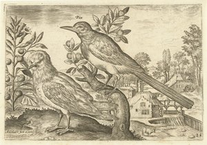 To fugler i et landskap Fugler (serietittel) Avium Vivae (serietittel) av Adriaen Collaert