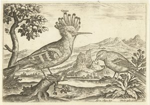 To fugler i et landskap Fugler (serietittel) Avium Vivae (serietittel) av Adriaen Collaert
