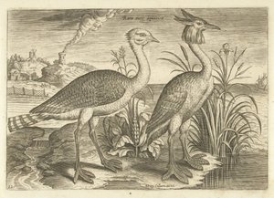To vadefugler i et landskap Fugler (serietittel) Avivm vivae (serietittel) av Adriaen Collaert