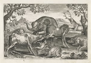 Kampdyr Firbeinte dyr (serietittel) Animalivm Qvaddrvpedvm (serietittel) av Adriaen Collaert