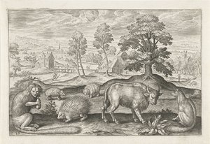 Ulike dyr Firebeinte dyr (serietittel) Animalivm Qvaddrvpedvm (serietittel) av Adriaen Collaert