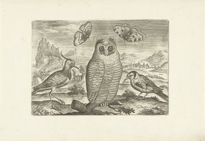 Fugler og sommerfugler i et landskap Fugler (serietittel) Avium vivae (serietittel) av Adriaen Collaert