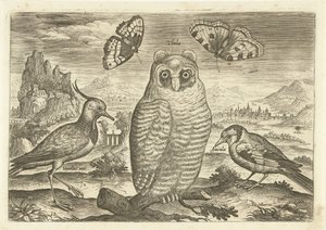 Fugler og sommerfugler i et landskap Fugler (serietittel) Avium vivae (serietittel) av Adriaen Collaert