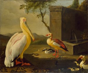 Orientalske fugler, 1683