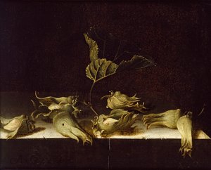 Stilleben med hasselnøtter, 1696 av Adrian Coorte