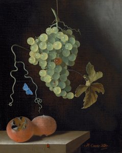 Stilleben med en hengende drueklase, to medlars og en sommerfugl av Adrian Coorte
