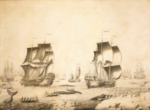  av Adriaen or Abraham Salm