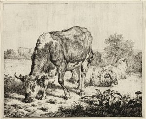 En ku og tre sauer av Adriaen van de Velde