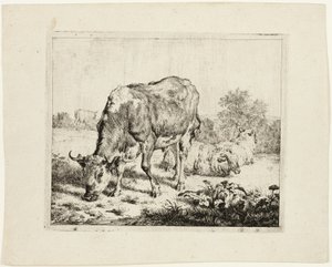 Oksebeite og tre sauer av Adriaen van de Velde