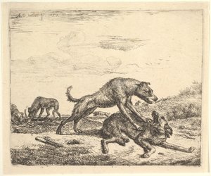 Kamphunder, fra forskjellige dyr, 1657. av Adriaen van de Velde