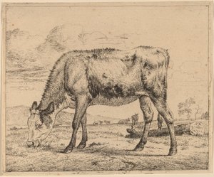 Beitende kalv av Adriaen van de Velde