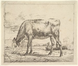 Beitende kalv, fra forskjellige dyr, 1658. av Adriaen van de Velde