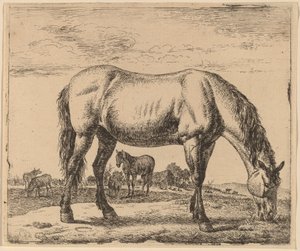 Beitende hest av Adriaen van de Velde