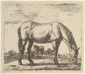 Beitende hest, fra forskjellige dyr. av Adriaen van de Velde