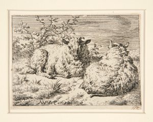De to sauene av Adriaen van de Velde