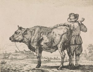 Mann som står med oksen av Adriaen van de Velde