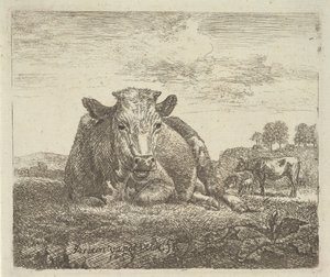 Liggende ku, fra forskjellige dyr, 1657. av Adriaen van de Velde