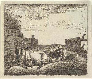 Liggende geiter, fra forskjellige dyr. av Adriaen van de Velde